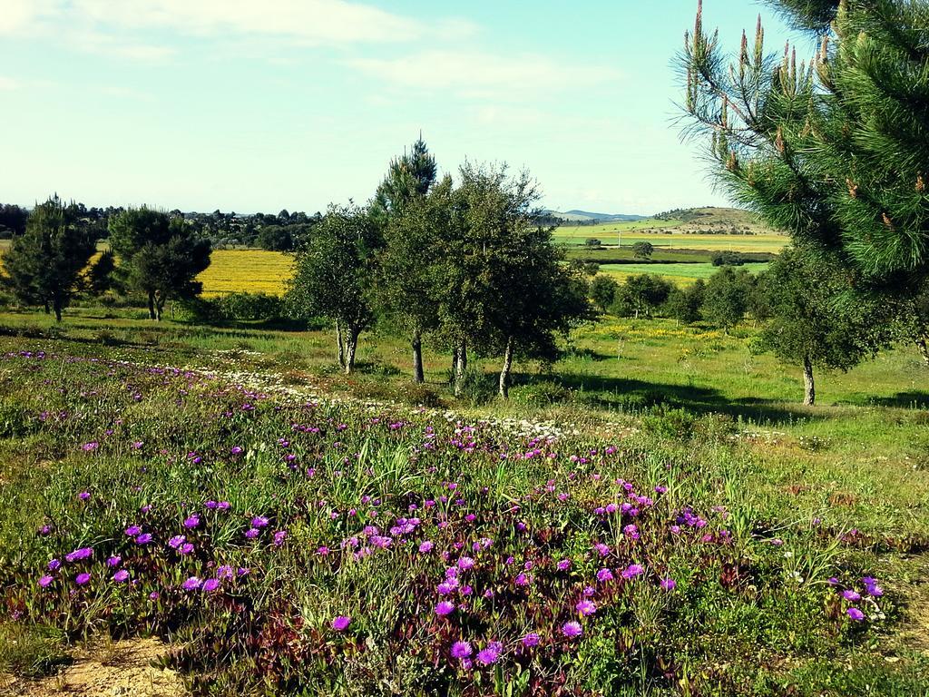 בית הארחה וילה נובה דה מילפונטס 	Gotas De Luar Turismo Rural מראה חיצוני תמונה